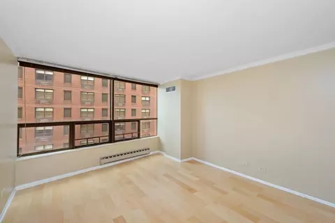 110 E Delaware Pl #702, Chicago, IL 60611 photo 12