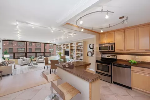 110 E Delaware Pl #702, Chicago, IL 60611 photo 9