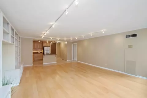 110 E Delaware Pl #702, Chicago, IL 60611 photo 7