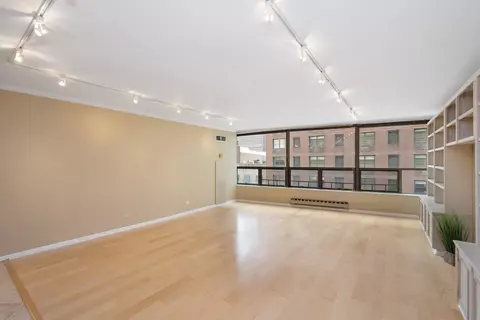 110 E Delaware Pl #702, Chicago, IL 60611 photo 6