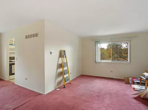 46 Willow Cir, Cary, IL 60013 photo 8
