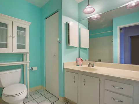 46 Willow Cir, Cary, IL 60013 photo 17