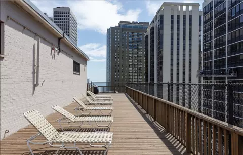 33 E Cedar St #6F, Chicago, IL 60611 photo 12