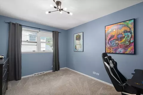 107 George St, Wheaton, IL 60189 photo 15