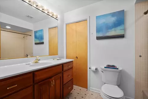 107 George St, Wheaton, IL 60189 photo 18