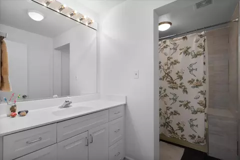 107 George St, Wheaton, IL 60189 photo 20