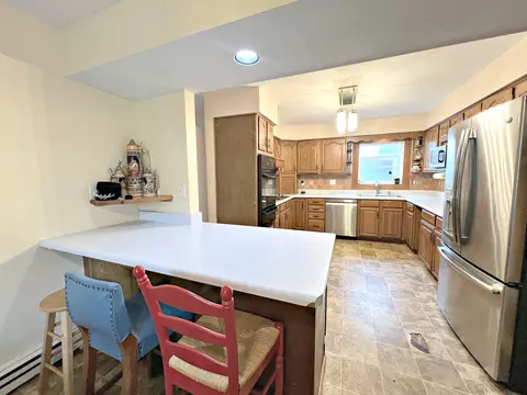 1435 Lund Ave, Algonquin, IL 60102 photo 6
