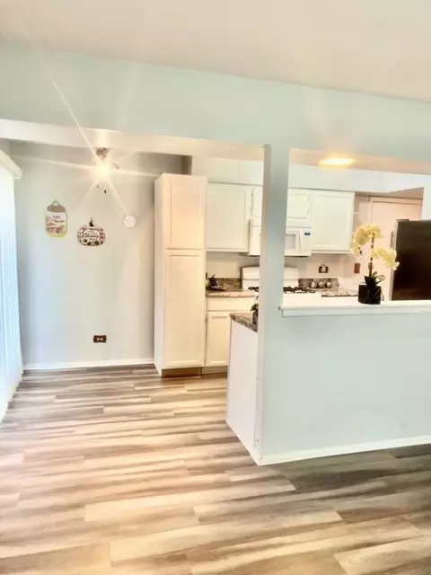 325 Marcia Ct #C, Bartlett, IL 60103 photo 4