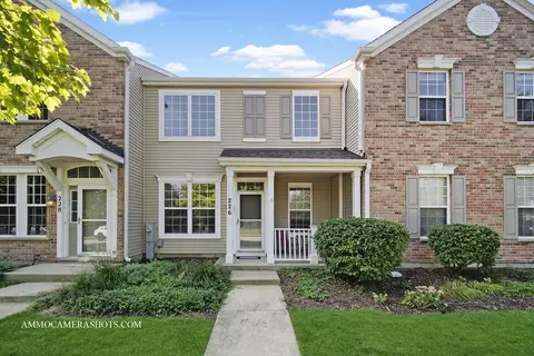 226 Springbrook Trl S, Oswego, IL 60543