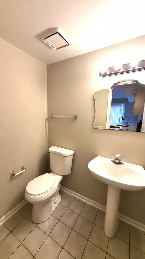 366 Monarch Birch Ct, Bartlett, IL 60103 photo 10