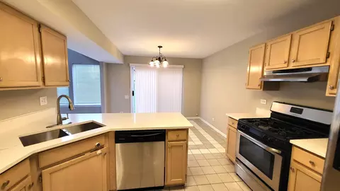 366 Monarch Birch Ct, Bartlett, IL 60103 photo 2