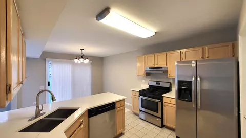 366 Monarch Birch Ct, Bartlett, IL 60103 photo 3