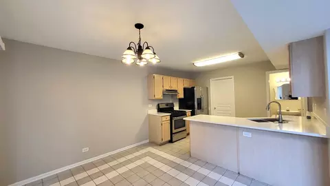 366 Monarch Birch Ct, Bartlett, IL 60103 photo 5