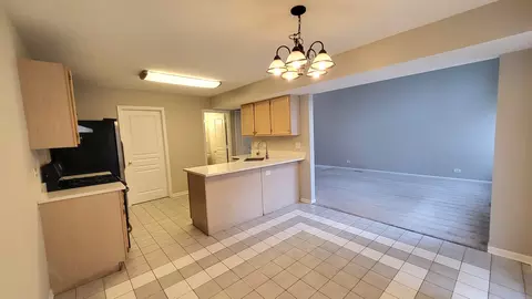 366 Monarch Birch Ct, Bartlett, IL 60103 photo 4