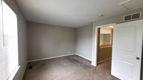 366 Monarch Birch Ct, Bartlett, IL 60103 photo 16