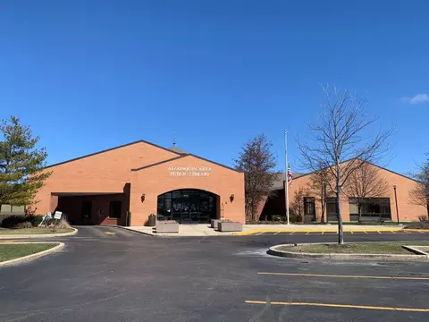 956 Savannah Ln, Algonquin, IL 60102 photo 41