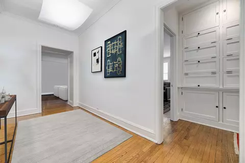237 E Delaware Pl #6B, Chicago, IL 60611 photo 20