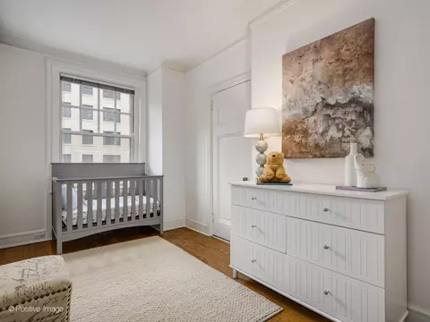 237 E Delaware Pl #6B, Chicago, IL 60611 photo 29