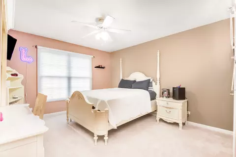 13025 Skyline Dr, Plainfield, IL 60585 photo 27