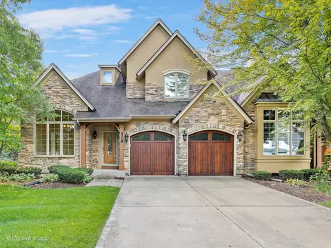 528 Orleans Ave, Naperville, IL 60565