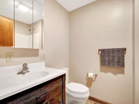 449 E William St, Bement, IL 61813 photo 25