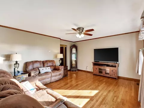 449 E William St, Bement, IL 61813 photo 18