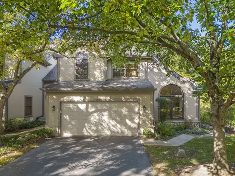 1255 Hobson Oaks Dr, Naperville, IL 60540