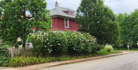102 Monroe Ave, Elgin, IL 60123 photo 32