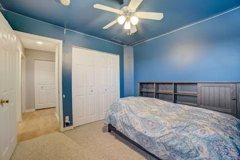1640 E Patmore St, Diamond, IL 60416 photo 20