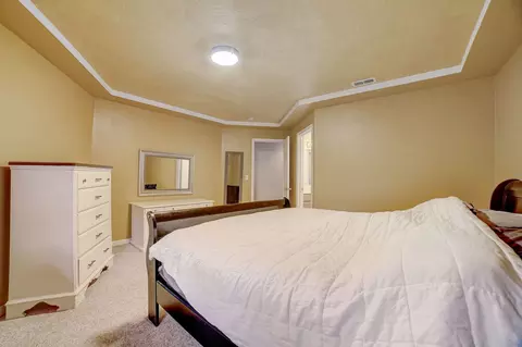 1640 E Patmore St, Diamond, IL 60416 photo 15