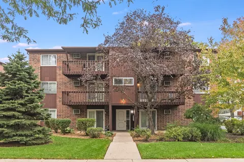 662 Daisy Ln #309, Roselle, IL 60172