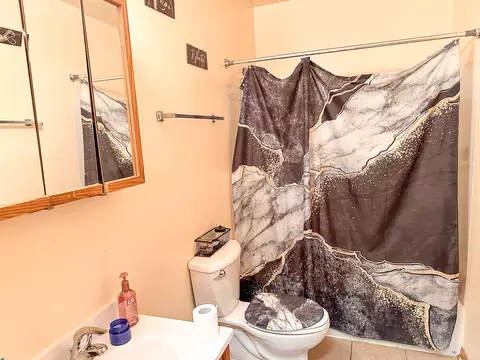 695 Moore St, Kankakee, IL 60901 photo 11