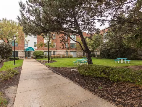 3275 Kirchoff Rd #239, Rolling Meadows, IL 60008 photo 31