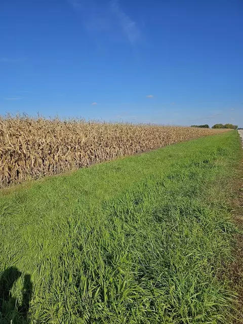 780 S Dwight Rd, Mazon, IL 60444 photo 3