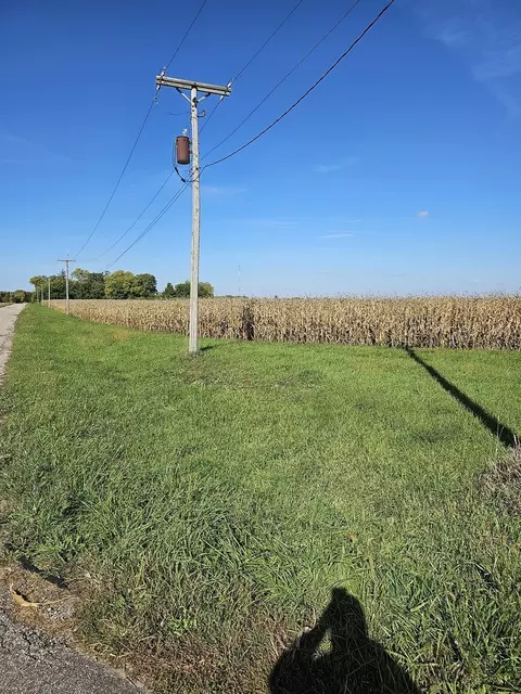780 S Dwight Rd, Mazon, IL 60444 photo 2