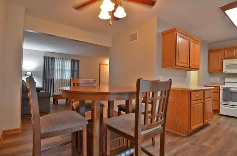 1018 Quail Dr, Morris, IL 60450 photo 6