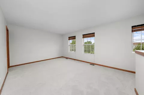 14306 General Ct, Plainfield, IL 60544 photo 13