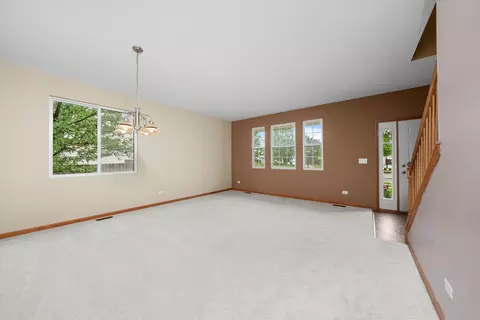 14306 General Ct, Plainfield, IL 60544 photo 6