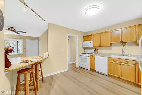 10 Payson St, Hoffman Estates, IL 60169 photo 8