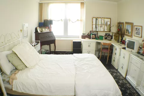 400 E Randolph St #1405, Chicago, IL 60601 photo 10