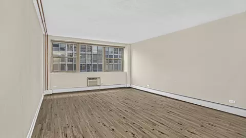 253 E Delaware Pl #13A, Chicago, IL 60611 photo 2