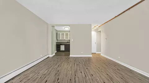 253 E Delaware Pl #13A, Chicago, IL 60611 photo 4