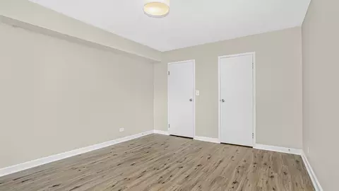 253 E Delaware Pl #13A, Chicago, IL 60611 photo 8