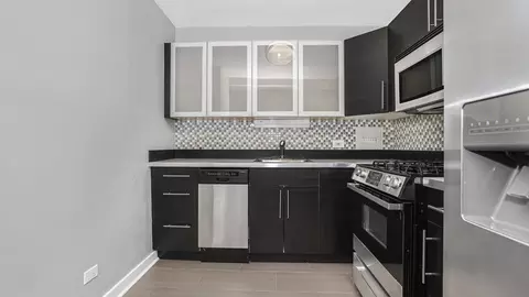 253 E Delaware Pl #13A, Chicago, IL 60611 photo 6