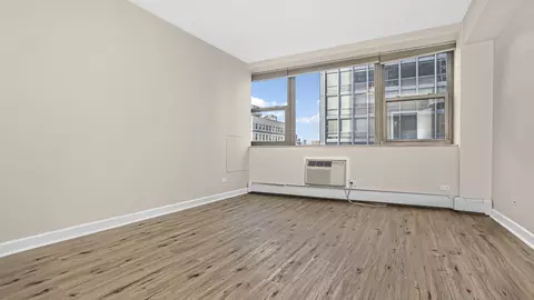 253 E Delaware Pl #13A, Chicago, IL 60611 photo 7