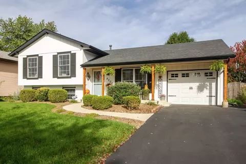 8208 W Norwood Dr, Frankfort, IL 60423