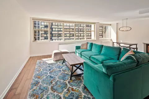 40 E Cedar St #15C, Chicago, IL 60611 photo 3