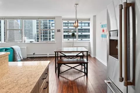 40 E Cedar St #15C, Chicago, IL 60611 photo 10