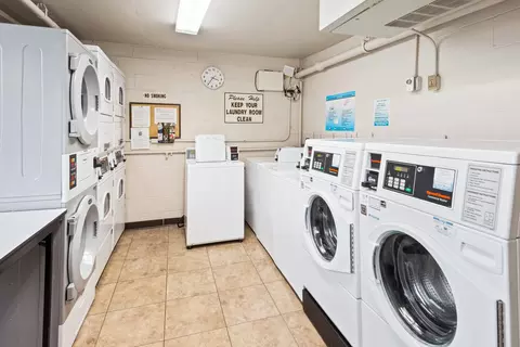40 E Cedar St #15C, Chicago, IL 60611 photo 22
