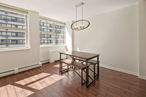 40 E Cedar St #15C, Chicago, IL 60611 photo 9